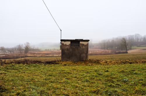 Item #88837150709499798352031986971363165703044907958800399059978422684240482140161 Media