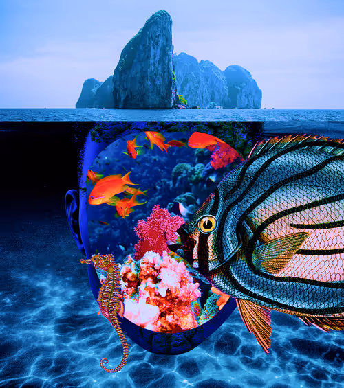 Item #10133503931691611381105861866214852730808786993761746614125845753519182708737 Media