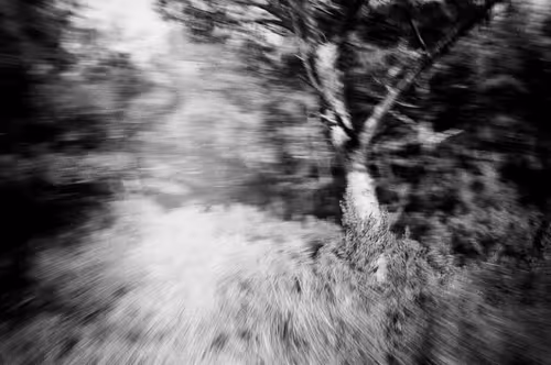 Item #38495668349306452240688866721683925223246116077147746545727998338154327179364 Media