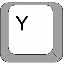 Y