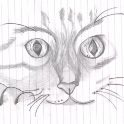 Scary Cat