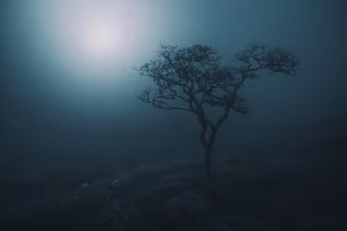 Item #72639390708267126639436568569652760193401123475841185469851730254354748276737 Media