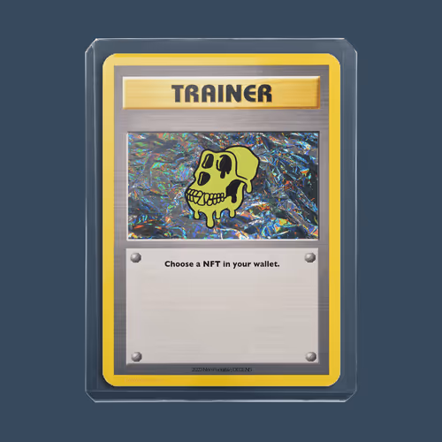 Trainer Series by 3b4b59