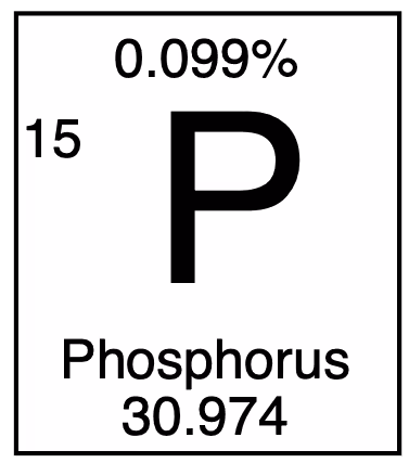 Item #5661453840234089183517174433164630646637129767914609504765586391706382632012 Media
