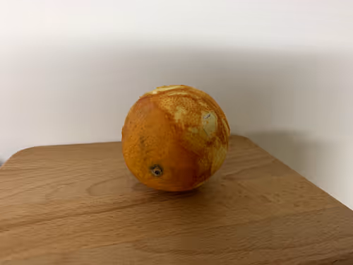 Item #11797102237011765429617169512358463624144894721121868463151141344422341378049 Media