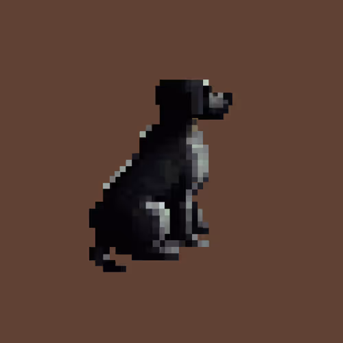 ZephyrNFTs Collection