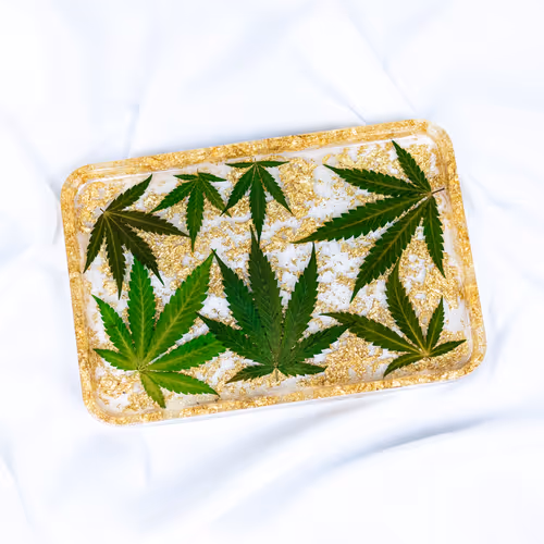 Item #10866731148574461933282528454272647296514218724332864202796050191763512492033 Media