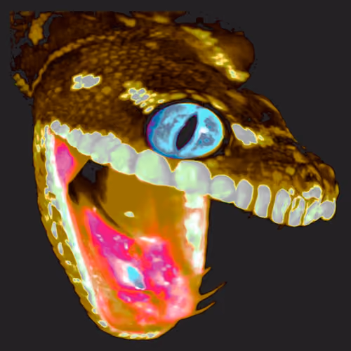 Trollpython #1