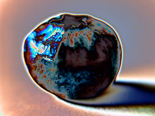 Item #58921648873001727541291667899035918231730626579624698148137299666076566552577 Media