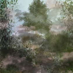 Mist