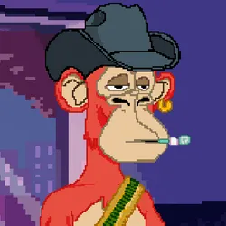 68353457077502718411049538613694890847782991066979697949798641081356497453057