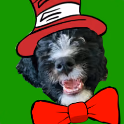 Dog In a Hat