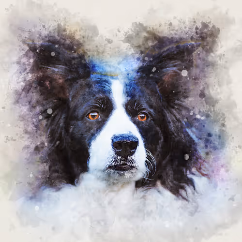 Item #58778693027167081171551254425987739881212938783430637935774676643504818487297 Media