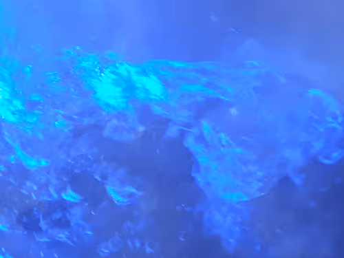 Untitled Collection #249623143