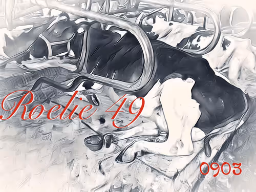 Item #106168068867162485094593885732241547229015412580842941571810197403207854981121 Media