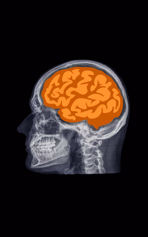 Item #24230885534779484670501703553684953274983737514794072512407783988453653348362 Media