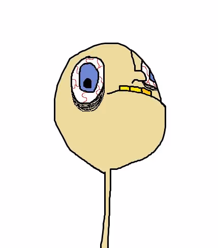 Item #55821112555373048994313304729541094956543670019884432065562933654204727689217 Media