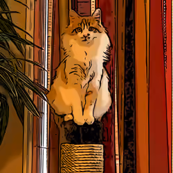 Shitty Kitty #11 - Stand