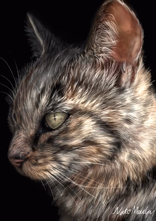 Item #102940712042788460655841603899026703332609717388723725324290197617387128225793 Media