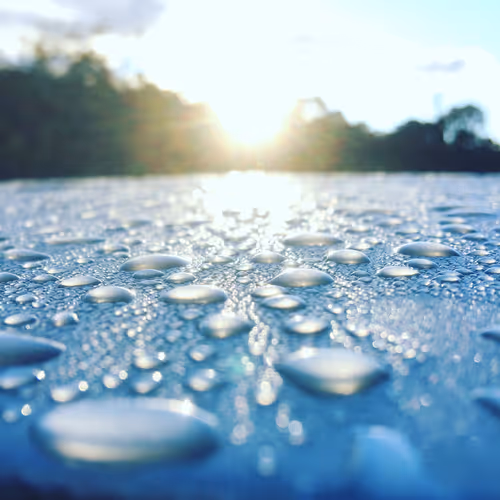 MORNING DEW