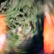 38495668349306452240688866721683925223246116077147746545727998337054815551588