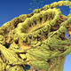 Fractal Landz