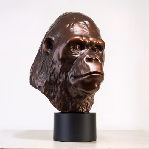 Item #76287133816210494683060693461716334234931774608590518424796729403594265067521 Media