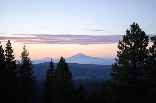 The years of your life