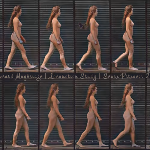 81703717885701679420244426985503748541742411620896309859703145947476900446209