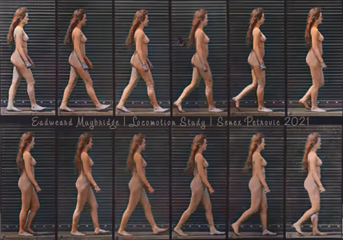 Item #81703717885701679420244426985503748541742411620896309859703145947476900446209 Media