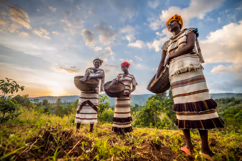 Item #50027882237522295676960542276708360859068113986169674979910834025152469008385 Media