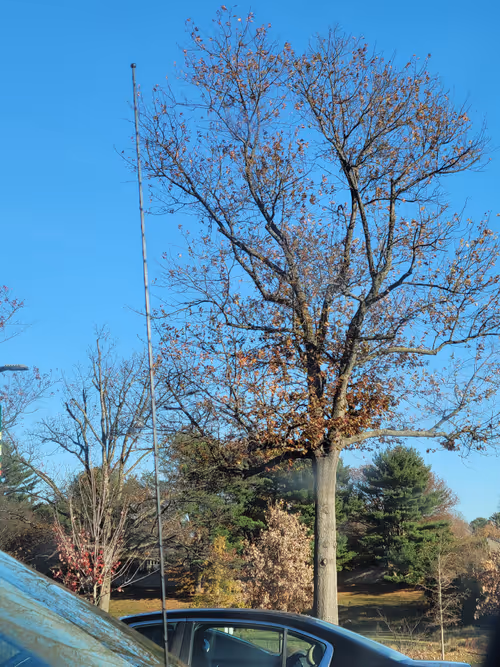 Item #61051240571971779841838649405693456424568018504308900476674196469551816769537 Media