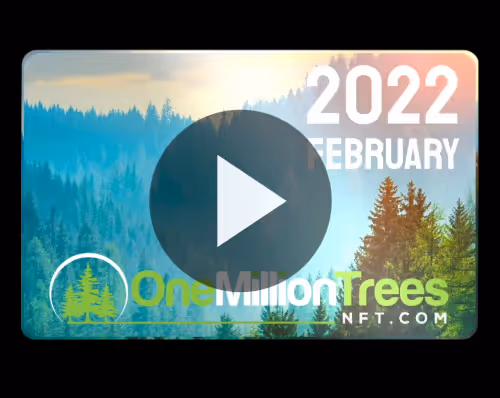 Item #25801989892845548526565125197399663131241948966790422528009322143038983634954 Media