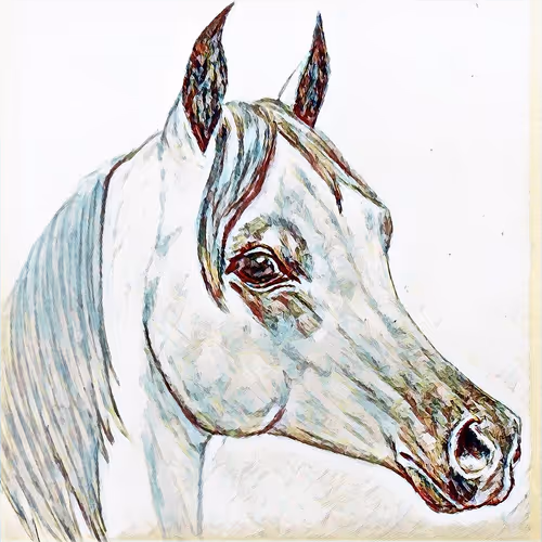 Item #35071169703432054805237846197123588022492369263066818718934001379624603353089 Media