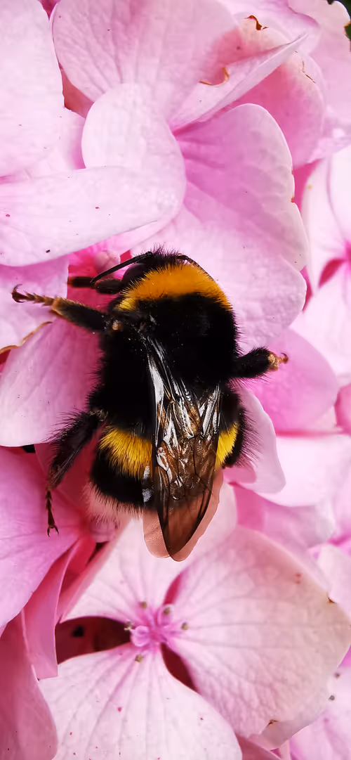 Item #39044306761895989489262238259534332683686809885641995164742116508251946221569 Media