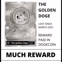 #30 - Lost Doge