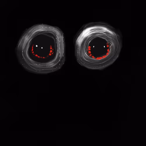 damned1749 Collection