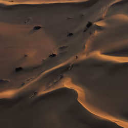 Sand Riders III