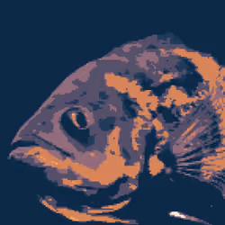 PixFish