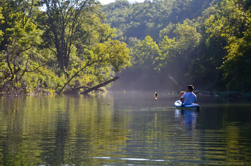 Item #97703427282030741984022634986911983897204836568735072395572896050222746042369 Media