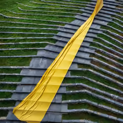 Ceremony Yellow