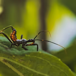 105090597216655980557633683149084672751347825439893935605656298001228655230977