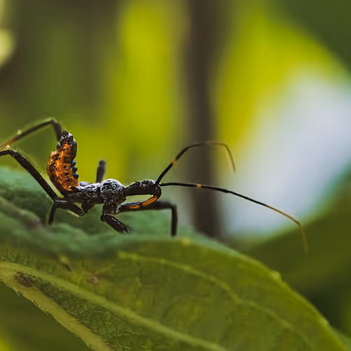 105090597216655980557633683149084672751347825439893935605656298001228655230977