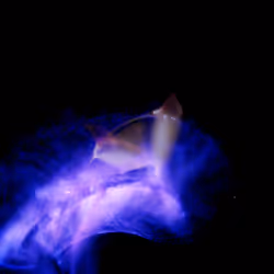 45731211464929816441170859700976373292149702980452148839612469101840702636033