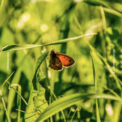 5978613787773959064064561136939516829698711004901919756353002632197544345601