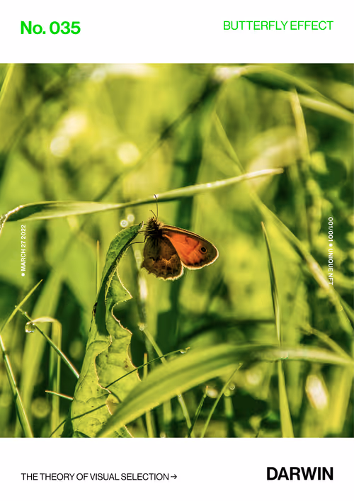 Item #5978613787773959064064561136939516829698711004901919756353002632197544345601 Media