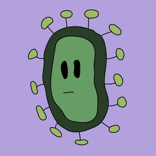 Item #77322602946845378968160645290649805751303662156569882943939416498348683689985 Media