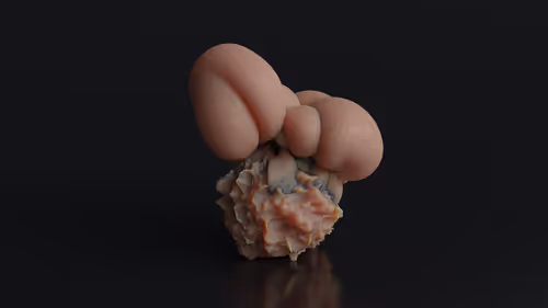 Item #87858548873057691610145785827924316116903784724900626045837508995909635014661 Media