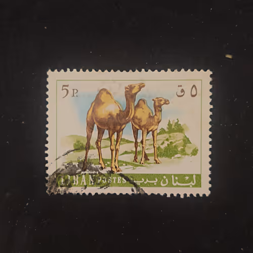 Item #73657231716097181370478076929276236332877121988757497801724203375310418214913 Media