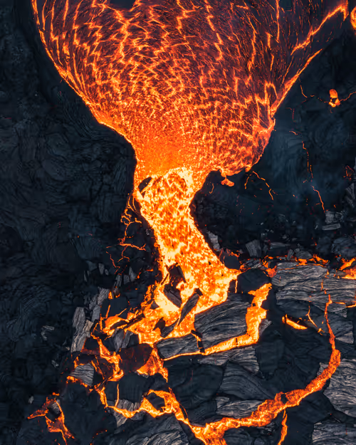 Item #59969087872528247593562305556961493003860374277083575615722774347732605730817 Media